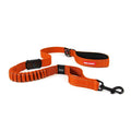 Zero Shock™ Leash
