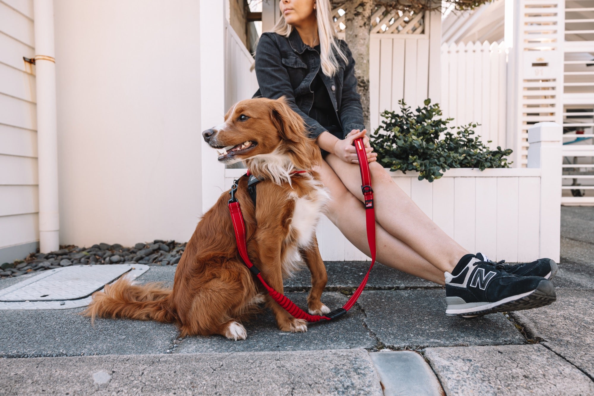 Woman sitting on a step with a dog on a leash in front of a house.