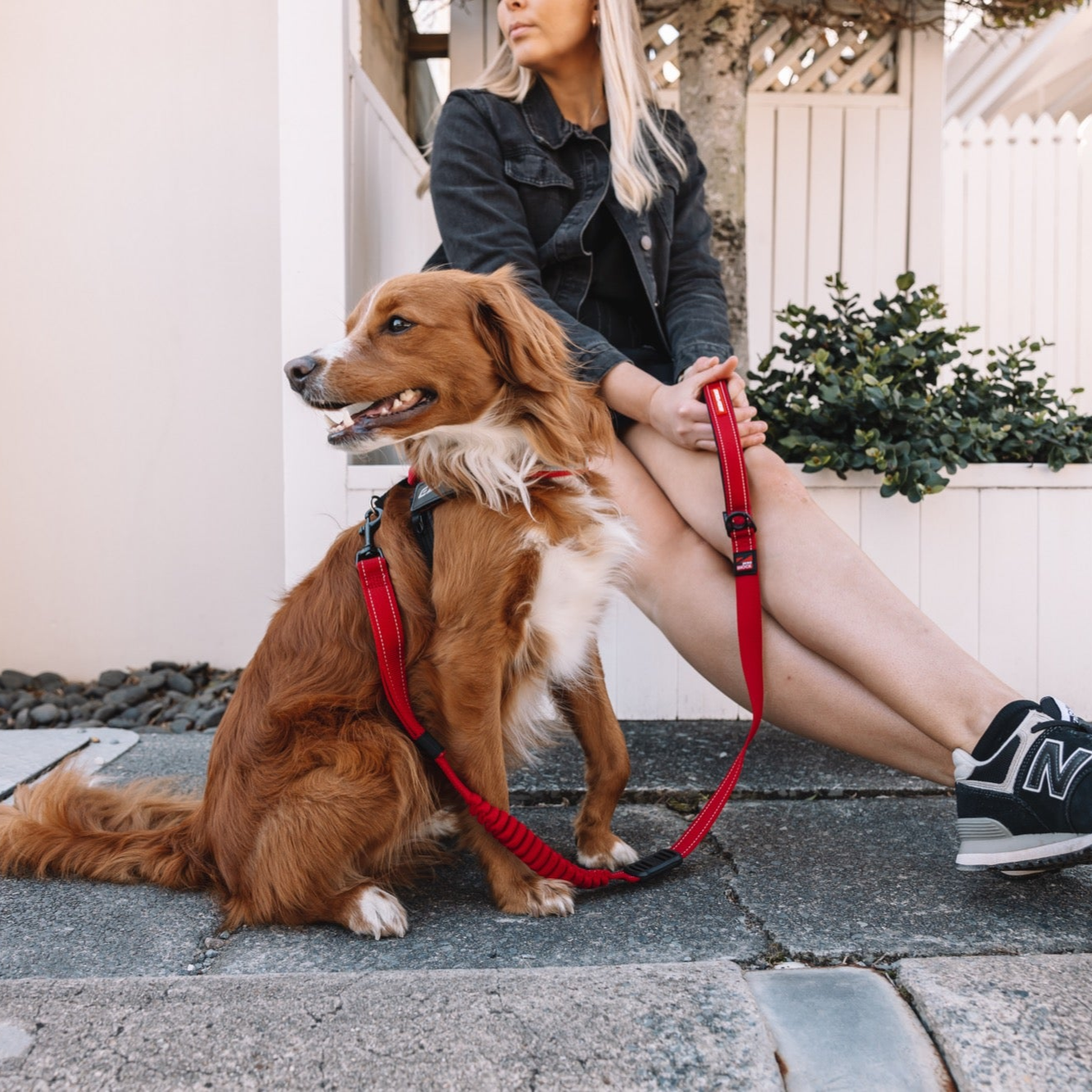 Woman sitting on a step with a dog on a leash in front of a house.