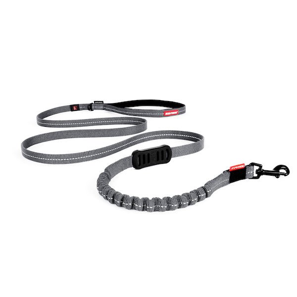 Gray dog leash with black and red accents on a white background