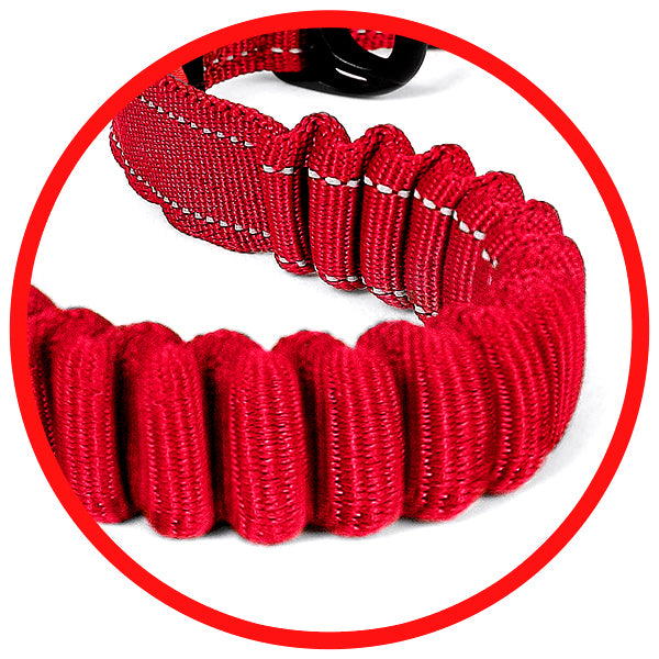 Red dog leash with a red circle highlighting it on a white background