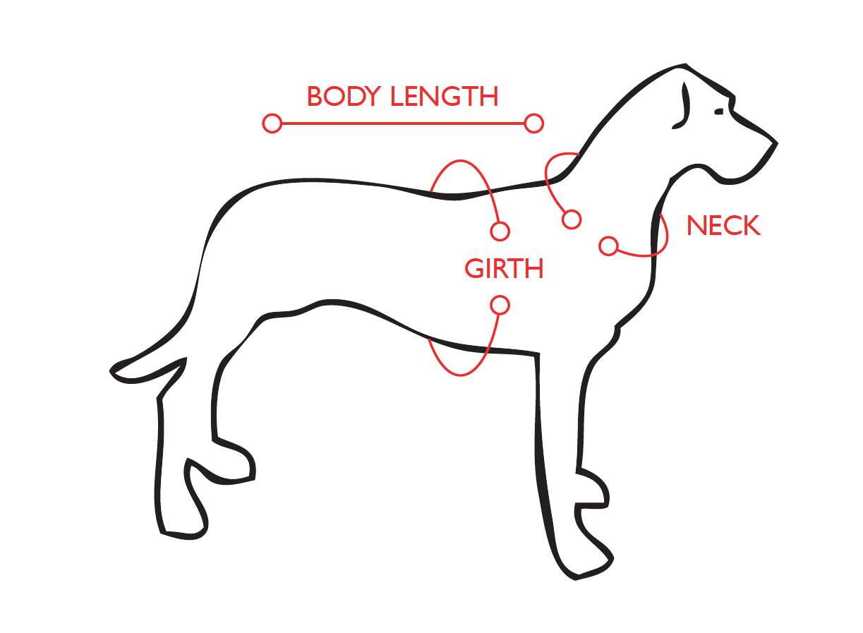 dog measurement guide