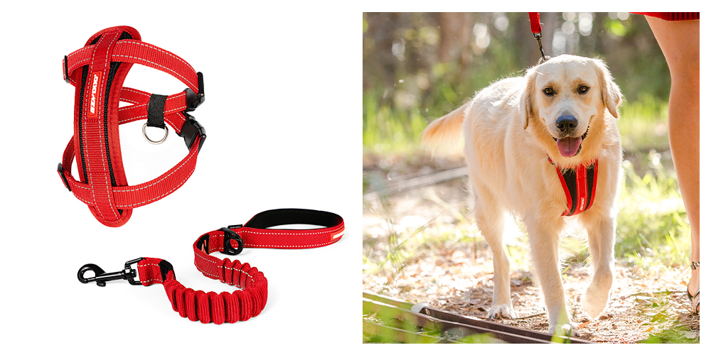 Chest Plate dog Harness and Zero Shock 25-in leash product images