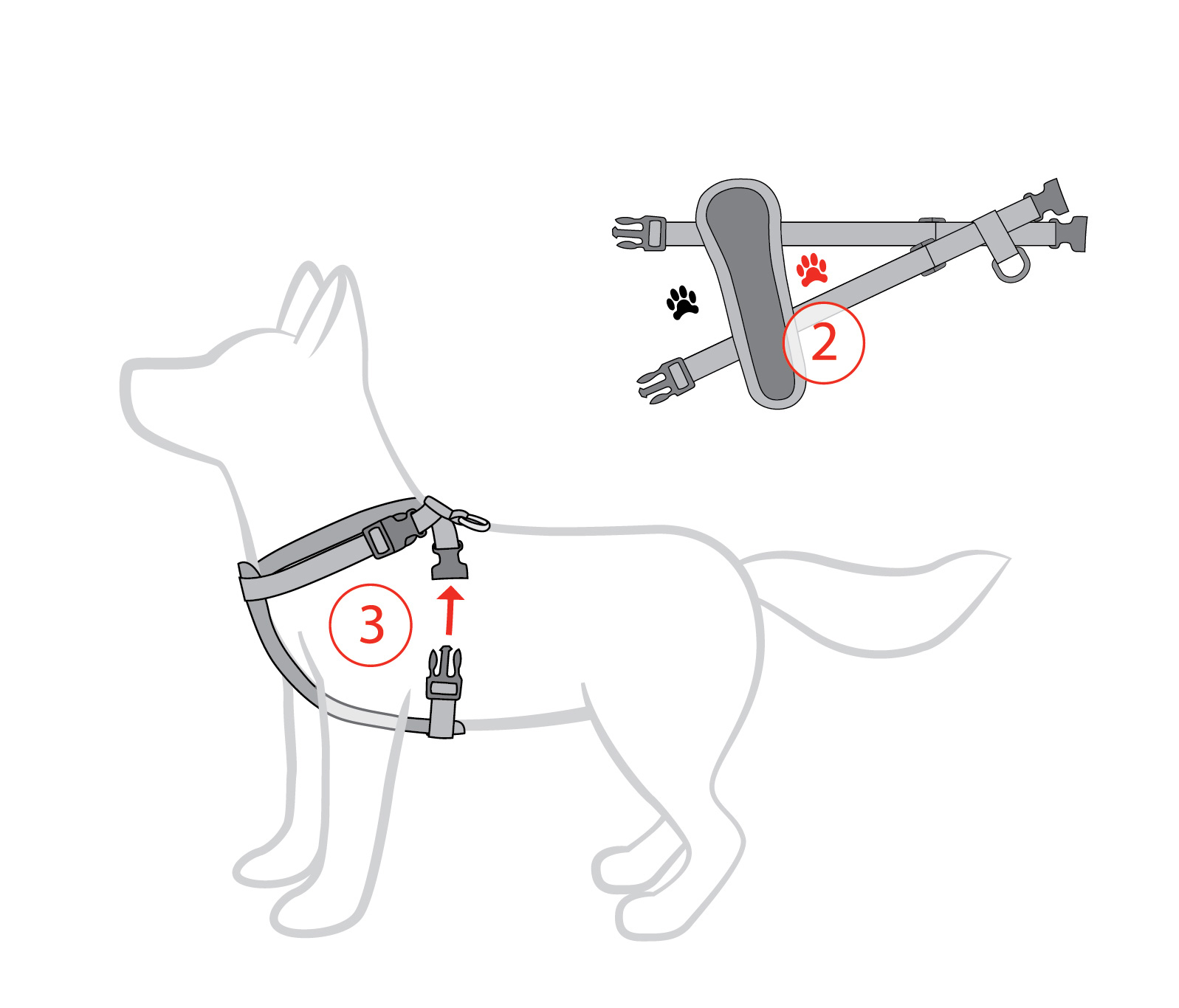 dog measurement guide