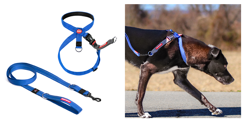 Crosscheck dog Harness and Vario 4 leash product images