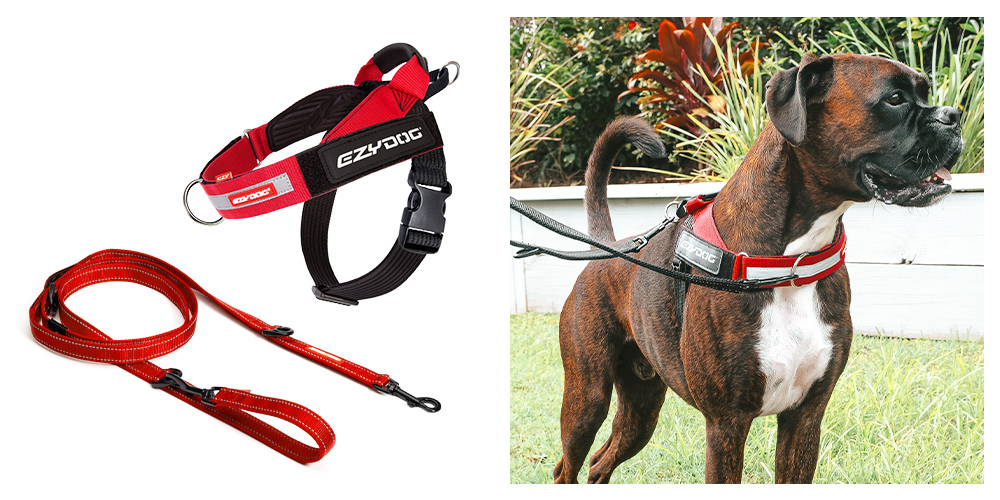 Express dog Harness and Vario 6 leash product images