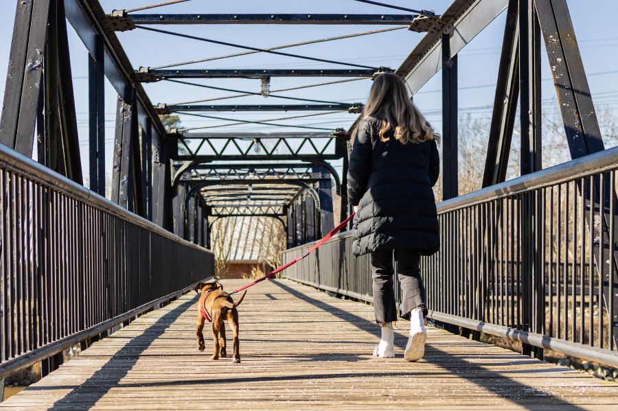 Woman walking her dog on a brisk morning