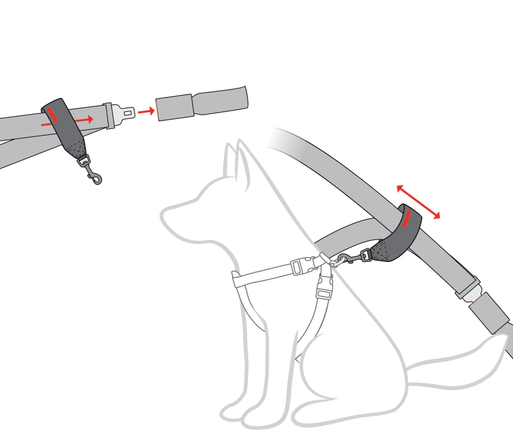 optimized-seat-belt-restraint-diagram.jpg