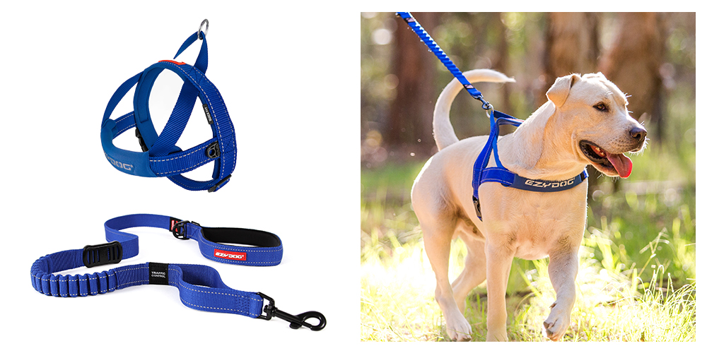 Quick Fit dog Harness and Zero Shock 48-in leash product images