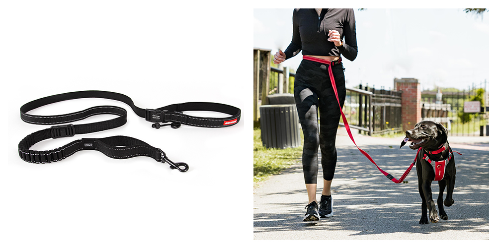 Road Runner Hands Free Dog Running Leash