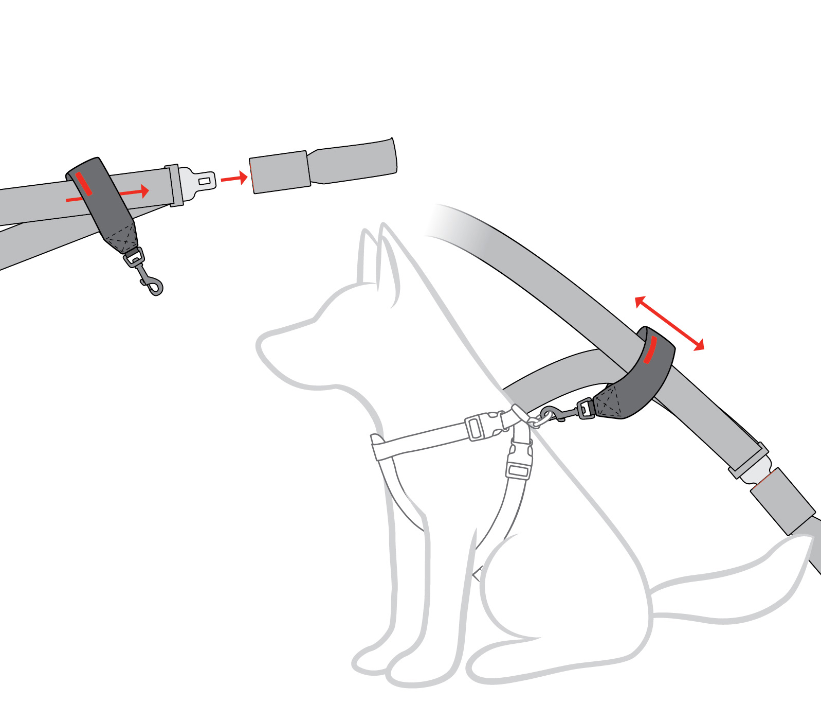 seat-belt-restraint-diagram.jpg
