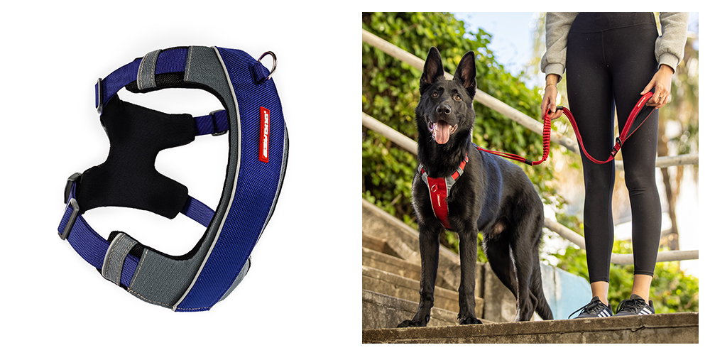 X-Link Dog Harness