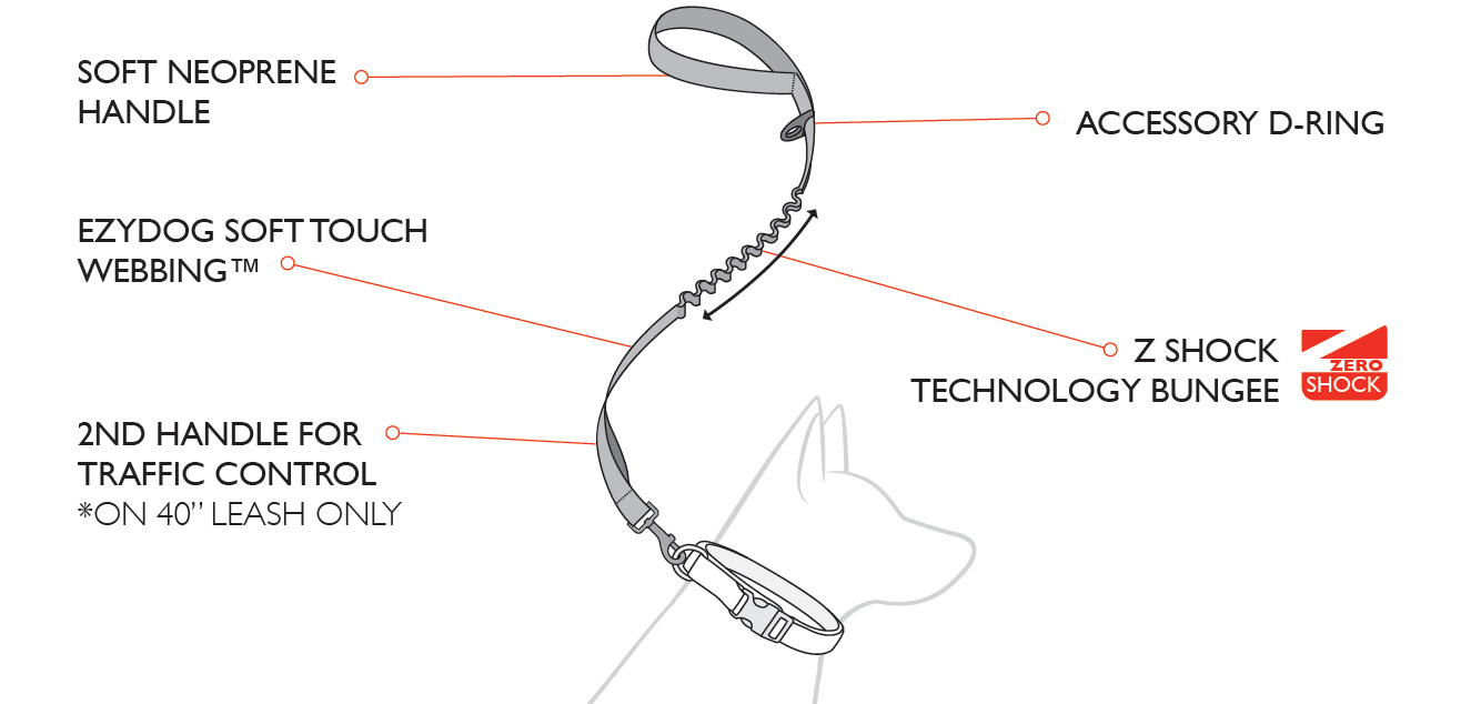 zero-shock-diagram.jpg